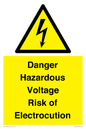 WE12290: Danger Hazardous Voltage Risk of Electrocution