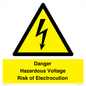 WE12290: Danger Hazardous Voltage Risk of Electrocution