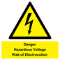 WE12290: Danger Hazardous Voltage Risk of Electrocution