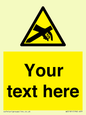 WE5181: Custom Anti-Static Warning Sign