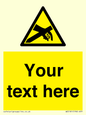 WE5181: Custom Anti-Static Warning Sign