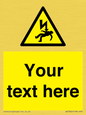 WE7822: Custom Warning danger of death by electrocution