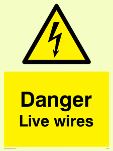 WE91: danger live wires