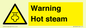 WK12640: Warning Hot steam