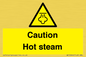 WK12644: Caution Hot steam
