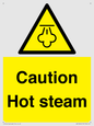 WK12644: Caution Hot steam