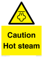WK12644: Caution Hot steam