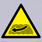 WL11174: W509  Warning: Strong river flows