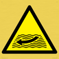 WL11174: W509  Warning: Strong river flows