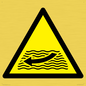 WL11174: W509  Warning: Strong river flows
