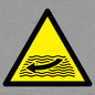 WL11174: W509  Warning: Strong river flows