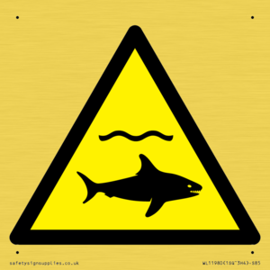 WL11980: W054 Warning: Sharks