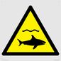 WL11980: W054 Warning: Sharks