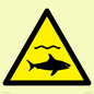 WL11980: W054 Warning: Sharks