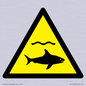 WL11980: W054 Warning: Sharks