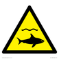 WL11980: W054 Warning: Sharks