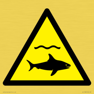 WL11980: W054 Warning: Sharks