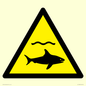 WL11980: W054 Warning: Sharks
