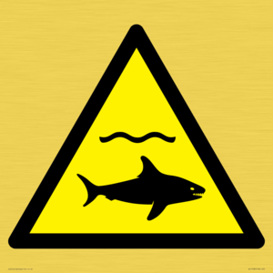 WL11980: W054 Warning: Sharks