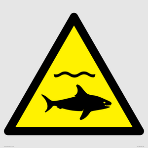 WL11980: W054 Warning: Sharks