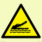 WL12006: W067 Warning: Crocodiles, alligators or caymans