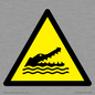 WL12006: W067 Warning: Crocodiles, alligators or caymans