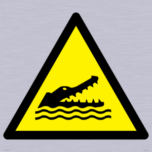 WL12006: W067 Warning: Crocodiles, alligators or caymans