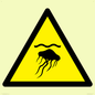 WL12010: W069 Warning: Jellyfish