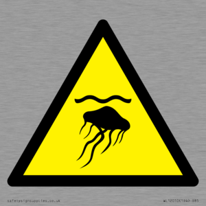 WL12010: W069 Warning: Jellyfish