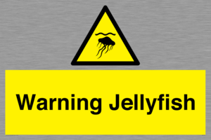 WL7510: Warning jellyfish