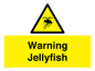 WL7510: Warning jellyfish