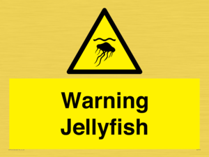 WL7510: Warning jellyfish