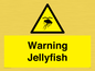 WL7510: Warning jellyfish