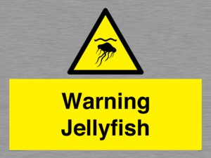 WL7510: Warning jellyfish