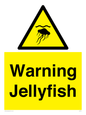 WL7510: Warning jellyfish