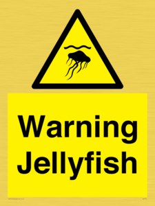 WL7510: Warning jellyfish