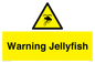 WL7510: Warning jellyfish