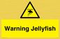 WL7510: Warning jellyfish
