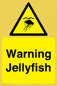 WL7510: Warning jellyfish