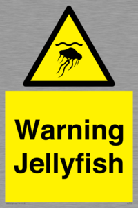 WL7510: Warning jellyfish