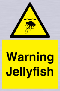 WL7510: Warning jellyfish