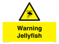 WL7510: Warning jellyfish