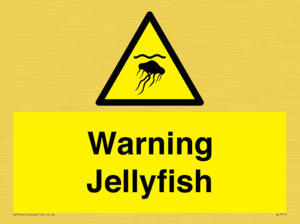 WL7510: Warning jellyfish