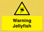 WL7510: Warning jellyfish