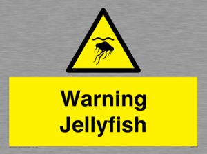WL7510: Warning jellyfish