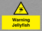 WL7510: Warning jellyfish