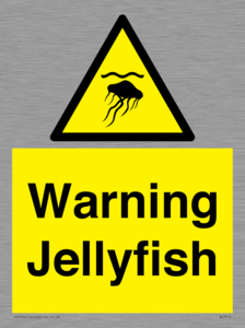 WL7510: Warning jellyfish