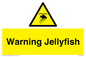 WL7510: Warning jellyfish