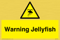 WL7510: Warning jellyfish