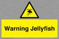 WL7510: Warning jellyfish